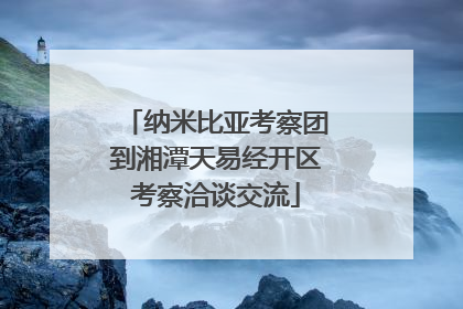 纳米比亚考察团到湘潭天易经开区考察洽谈交流